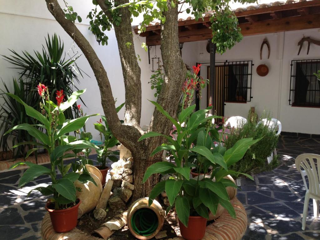 Casa Rural El Rincon Del Infante Villa de Don Fadrique Exterior photo